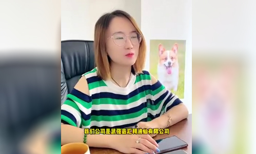 塑造企業品牌，實現數據安全和增值，讓每一家中國企業成功跨境